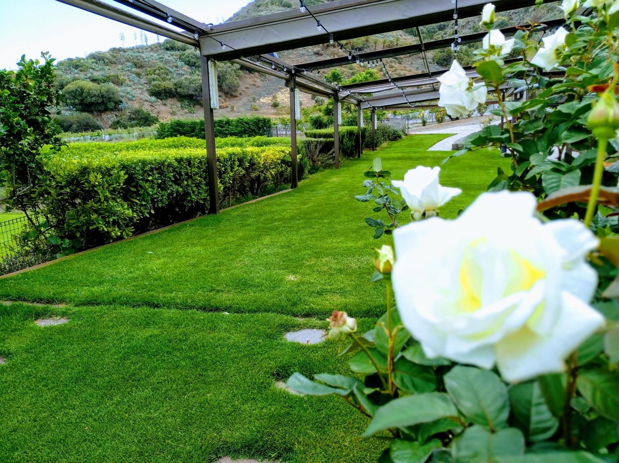 Hotel Rural El Mondalon Las Palmas de Gran Canaria Eksteriør bilde